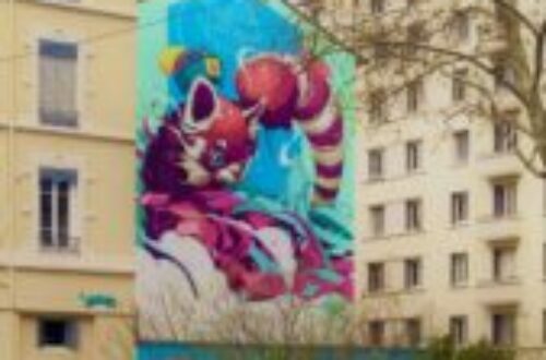 Article : Art de rue à Lyon